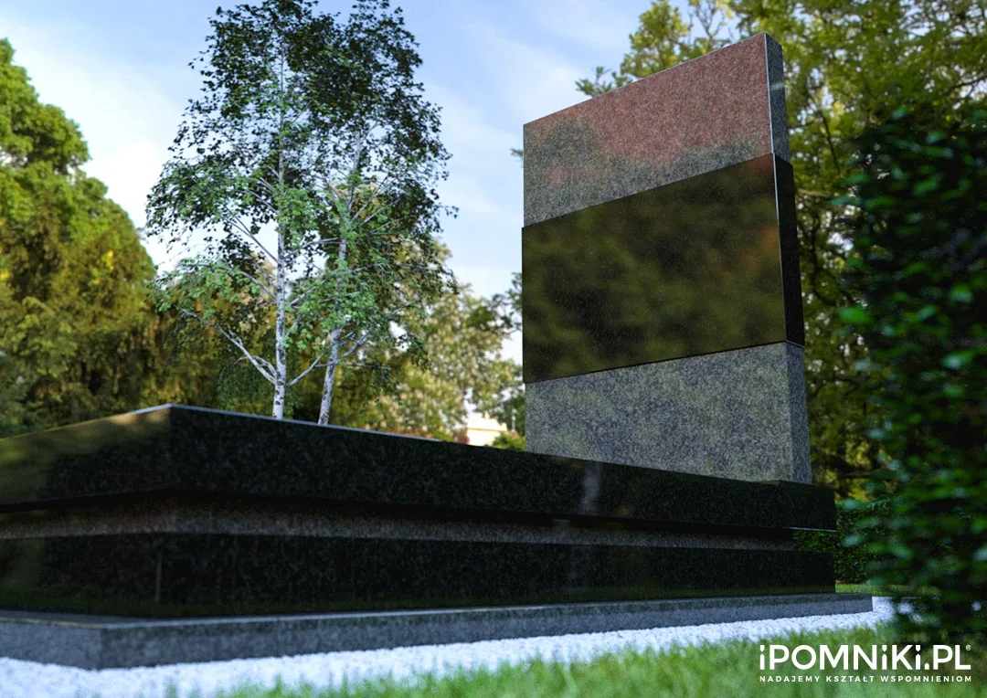 ipomniki_wiz_3d_janus_u2+www